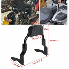 Kit sissy bar usato  Spedire a Italy