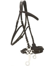 Bridon cuir hackamore d'occasion  Expédié en France