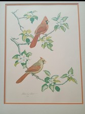 Cardinal art print for sale  Hillsboro