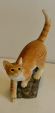 Sherratt simpson cat for sale  WIGTON