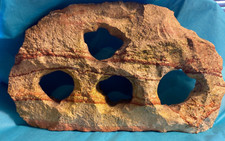 Fish aquarium sculpture for sale  San Leandro