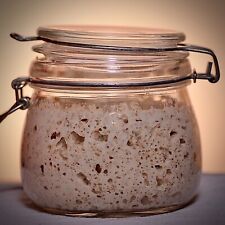 Organic rye sourdough for sale  HALIFAX