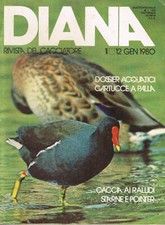 Coppia riviste diana usato  Imperia