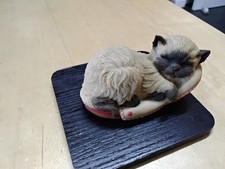 Aynsley mastercraft kitten for sale  KING'S LYNN