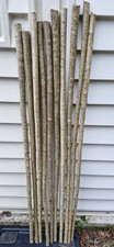 hazel walking sticks for sale  CRANLEIGH