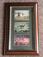 Hunting horse hound for sale  ROSS-ON-WYE