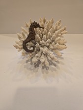 Natural seahorse ornament d'occasion  Expédié en Belgium