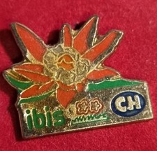 Pins ibis d'occasion  Soyaux