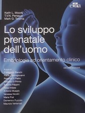 Sviluppo prenatale dell usato  Barrafranca