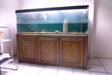 Aquarium plexiglas 450 gebraucht kaufen  Kaufbeuren