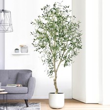 Artificial olive tree for sale  Brentwood