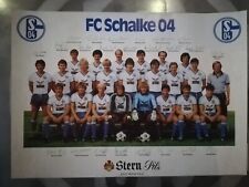 Schalke mannschaftsposter 4x42 gebraucht kaufen  Bad Sassendorf