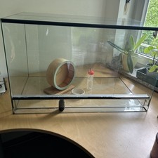 Glasterrarium 80x50x50 schiebe gebraucht kaufen  München