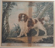 Reynolds northcote sportsman for sale Reynolds northcote sportsman for sale  UK