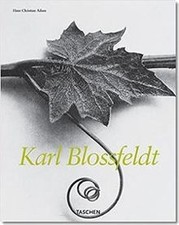 Karl blossfeldt adam gebraucht kaufen  Berlin