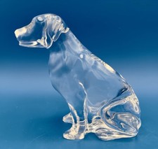 labrador d'occasion labrador d'occasion Expédié en Belgium