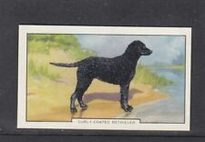 1938 gallaher dogs for sale  WELLS