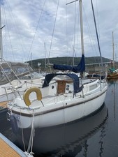 diesel cruiser boats for sale  LITTLEHAMPTON