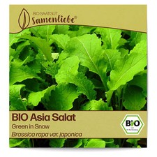 Bio salat samen gebraucht kaufen  Worms