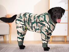 Miaododo dog surgical for sale  BRISTOL