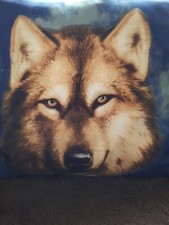 Kissenbezug 40x40 motiv gebraucht kaufen  Stimpfach
