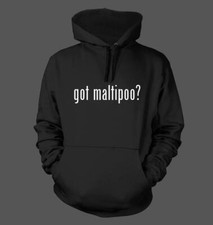 Got maltipoo men for sale  USA