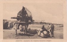 Eritrea asmara trasporto usato  Roma