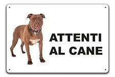 american pitbull usato american pitbull usato Patti