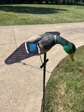 Lucky duck drake for sale  Medina
