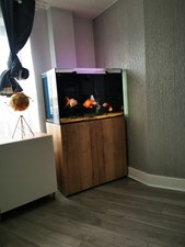 Fish tank evolution for sale  WALTHAM CROSS