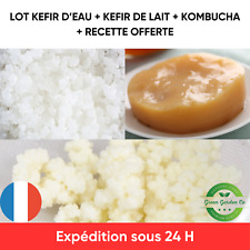 Lot kombucha scoby d'occasion  Metz-