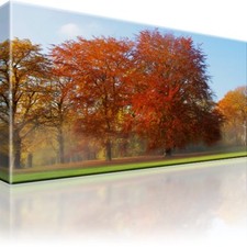Herbst wald see gebraucht kaufen  Deutschland