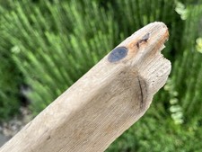 43cm long flat for sale 43cm long flat for sale  CLACTON-ON-SEA