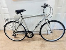 Giant expression hybrid for sale  LEICESTER