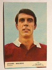 Torino cesare maldini usato  Pistoia