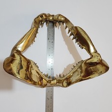 Large shark jaw d'occasion  Expédié en Belgium