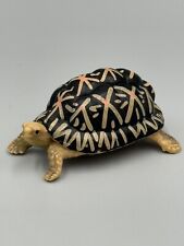 Indian star tortoise for sale  Pittsburgh