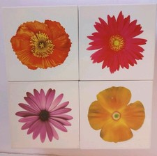 pink box storage wooden for sale  Marble Hill