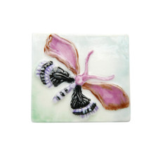 Feve papillon emile d'occasion  Limoux