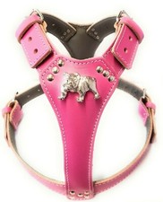 Cute deep pink for sale  LEICESTER