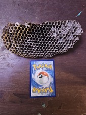 Wasp nest for sale  Mexia