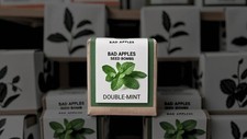 Bad apples doublemint for sale  Brighton