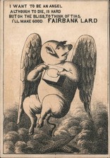 pigs wanted for sale pigs wanted for sale USA