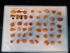 Raw baltic amber for sale  MANCHESTER