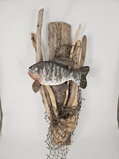 Driftwood carved sunfish for sale  Clearwater