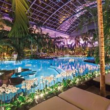 Therme sinsheim tage gebraucht kaufen  Berlin