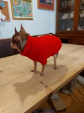 Muddy paws small for sale  OTLEY