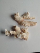 Natural dried sea for sale  KILMARNOCK