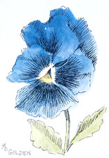 Miniature blue pansy for sale  San Francisco