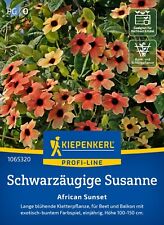 Schwarzäugige susanne african gebraucht kaufen  Elchesheim-Illingen